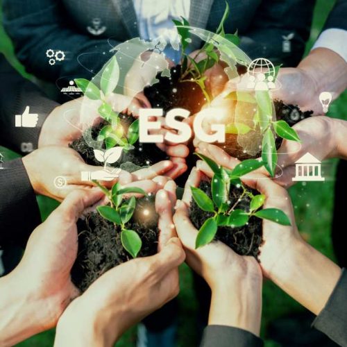 ESG Services firm